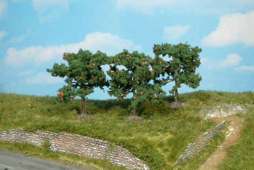 3 Apfelbäume 8 cm