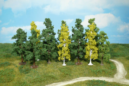 12 Laubbäume 7-12 cm