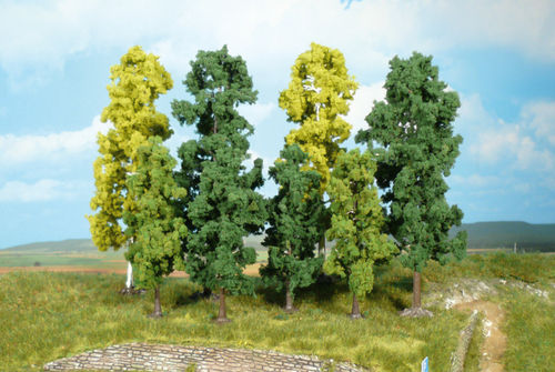 38 Bäume 10-18 cm