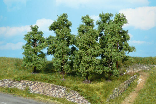 5 Obstbäume 5-8 cm