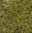 HEKI decovlies Wildgras, Bergwiese 28x14 cm