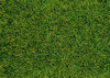 HEKI decovlies Wildgras, Moorboden 28x14 cm