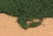 Blätterflor kieferngrün, 14x28 cm