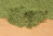 Blätterflor mittelgrün, 14x28 cm