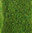 decovlies Wildgras dunkelgrün, 40x40 cm