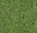 Wildgrasmatte wiesengrün, 40x24 cm, 2 Stück