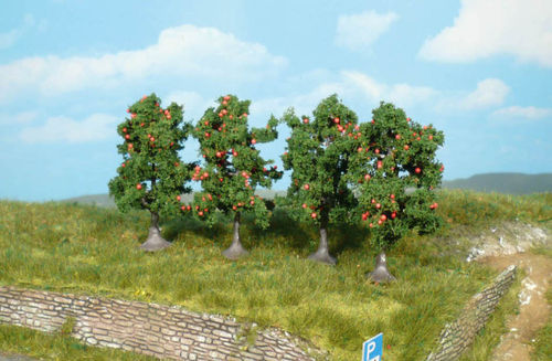 5 Apfelbäume 7 cm