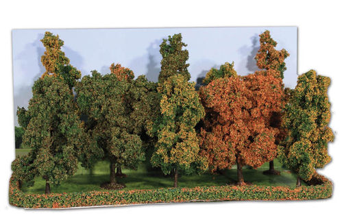 Herbstwald, 10 Bäume 10-14 cm