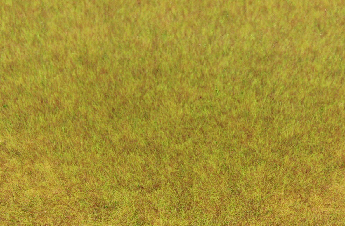 Grasfaser Wildgras Herbst, 75 g, 5-6 mm